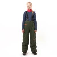 Dragonfly Штаны утепленные Gravity Teenager Dark Khaki Green в Пензе