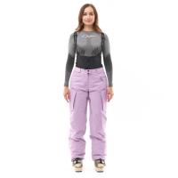 Dragonfly Штаны горнолыжные утепленные Gravity 2025 Woman Purple в Пензе
